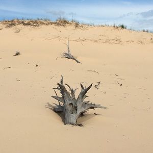 Meet your Posher, Tabitha